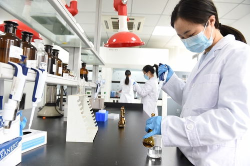 科技管家服務能手 資陽生產(chǎn)力促進中心如何以信息技術咨詢助力政企發(fā)展